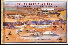 Ngorongoro: The Game Filled Crater